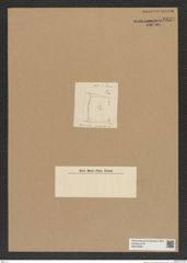 Diatomeae indet. Zeichnungen Sammlung Grunow Nr. 6833 (NHMW-BOT-W0375685)